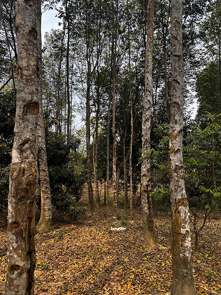 introduction_img_02